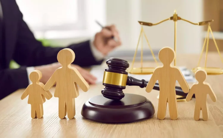  Family and Matrimonial Law